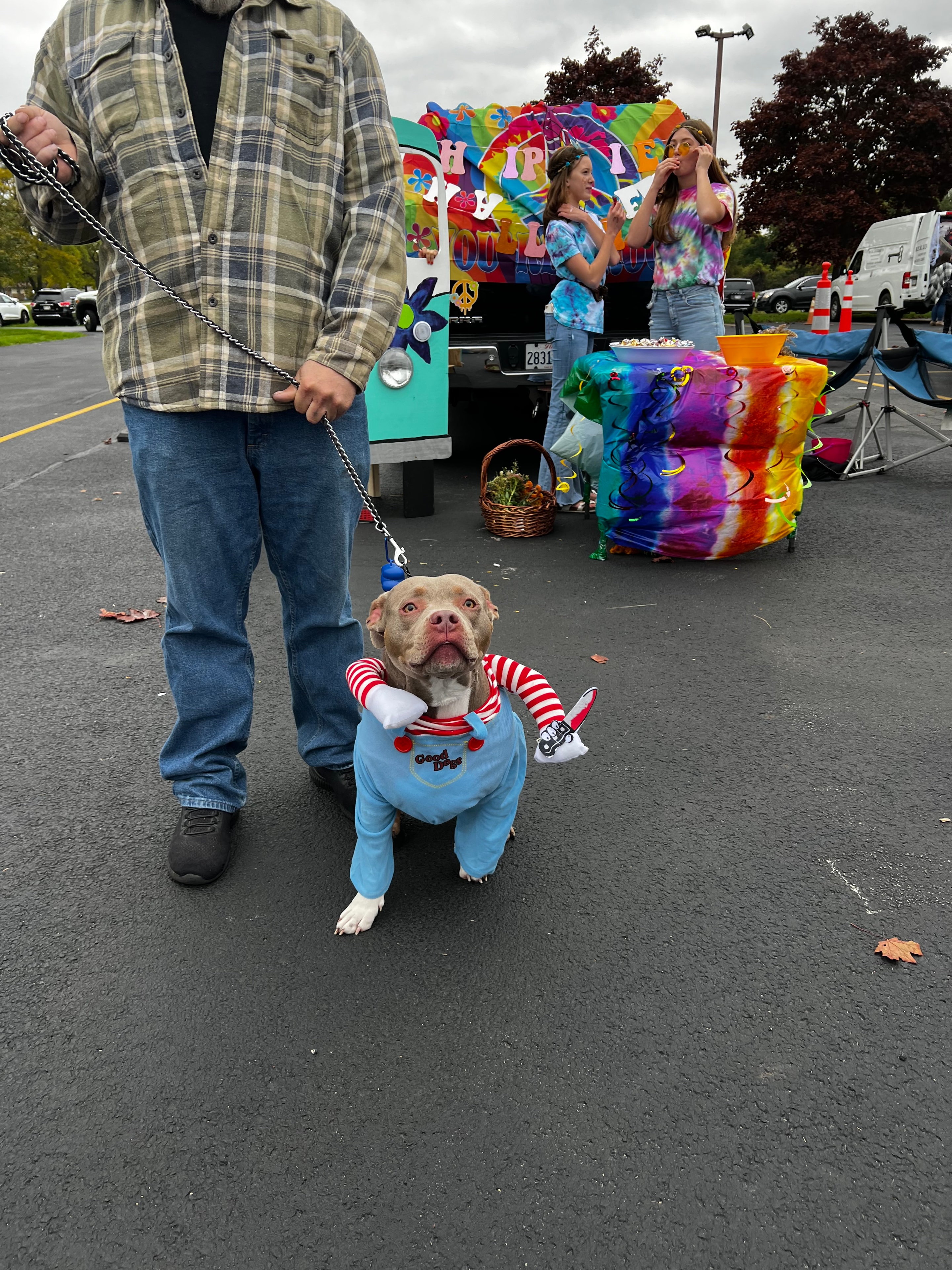 Dog dressed as Waldo with tie-dye trunk behind